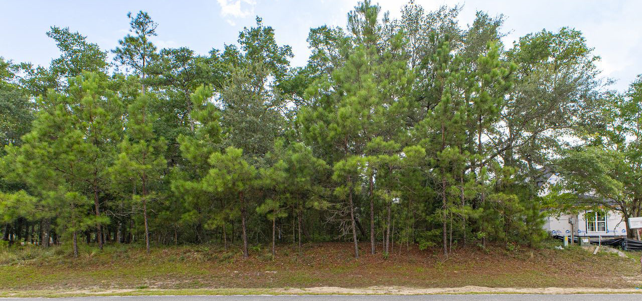 3365 Sandridge Lane (Lot available for custom build)